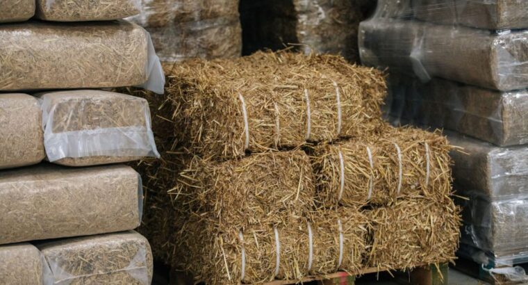 Alfalfa/Timothy/Brome mix hay bales for sale