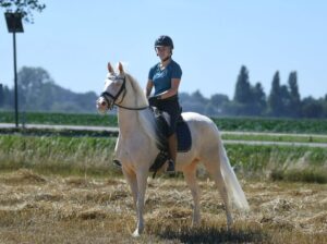 Rubi – Very special 8 year old Cremello Mare .