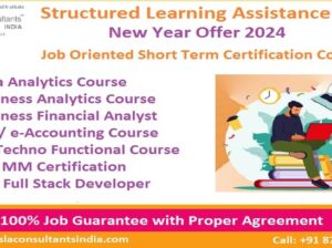 Business Analytics Course,100% Job, Offer 2024,